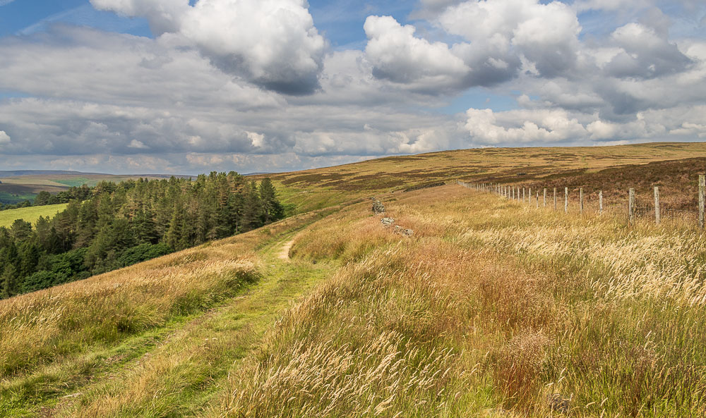 Greystones Moss Greystones Moss